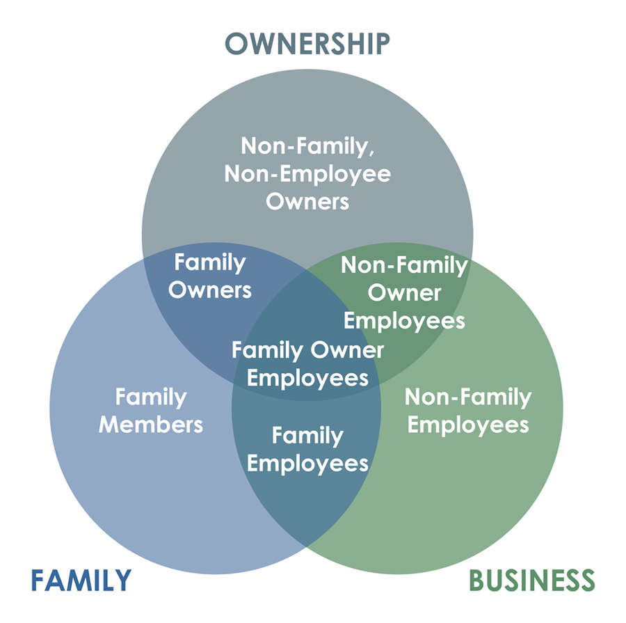 Three Circle Model View