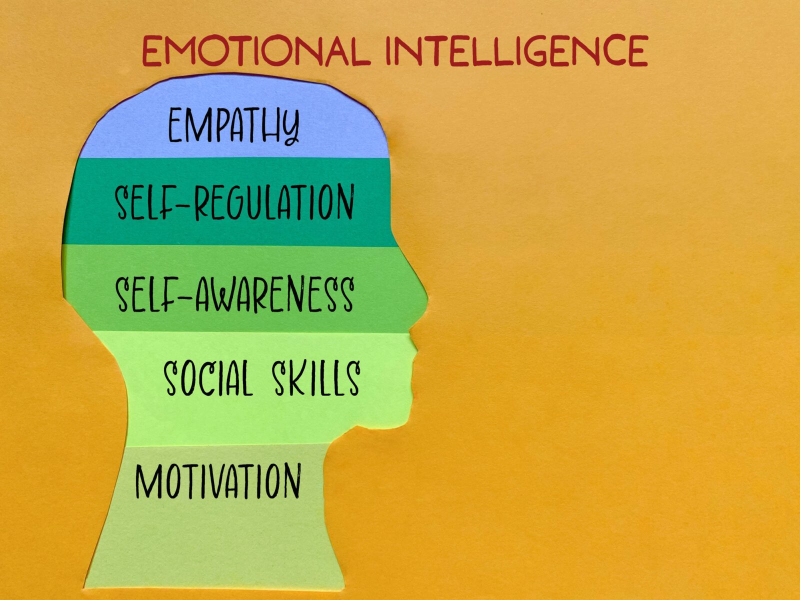 4 Characteristics that Define Emotionally Intelligent Leaders