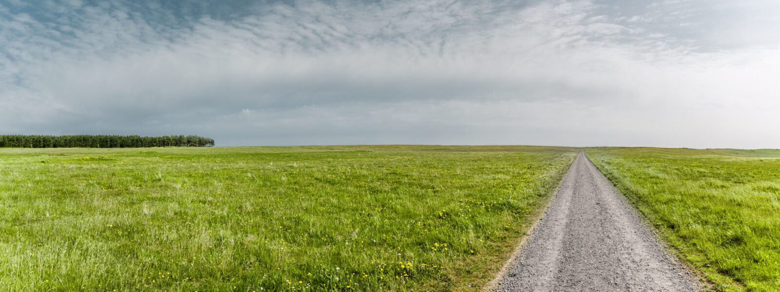 6 Steps for Business-Owning Families to Strengthen Governance