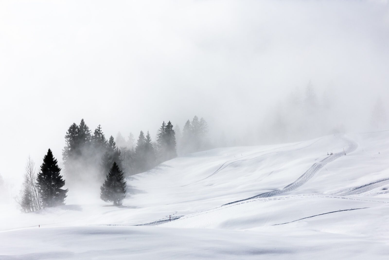 What to Do When a Family Business Leader Feels Paralyzed by Decision-Making