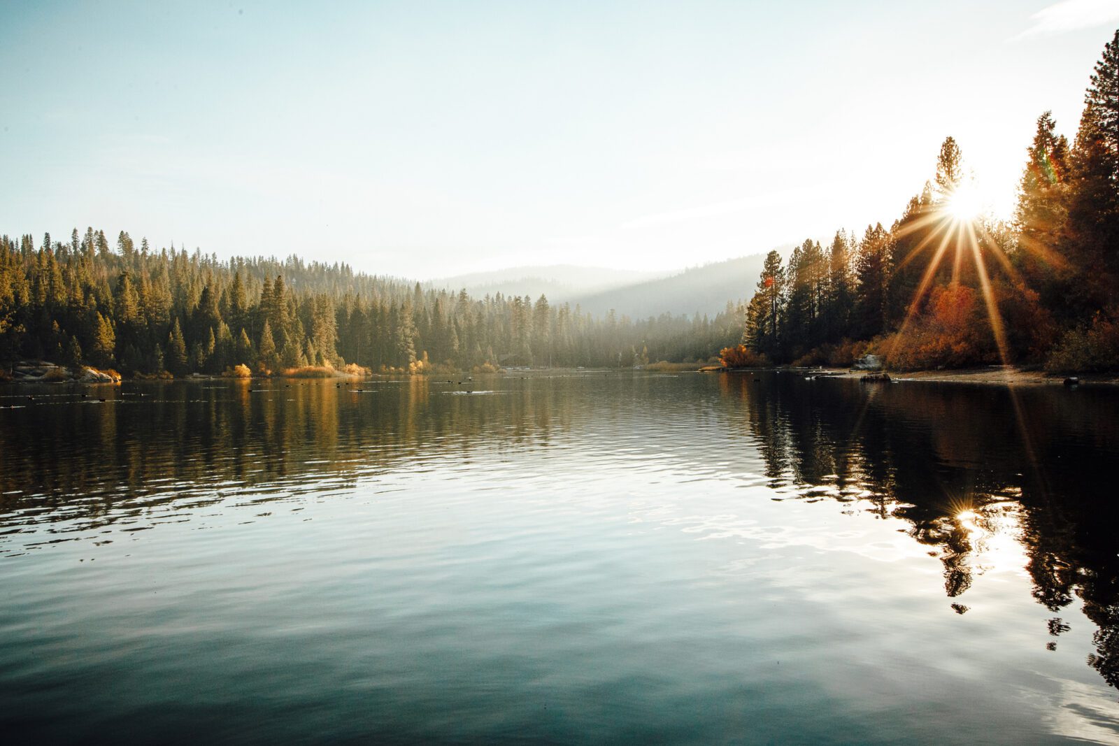 The Family Retreat: Is It Right for Your Family?