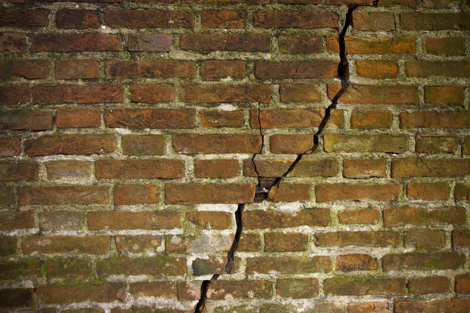 Is Your Profitable Family Business at Risk of Breaking Apart?